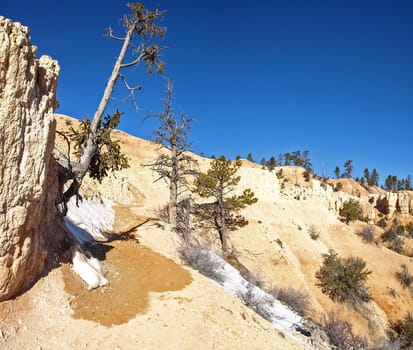 The Bryce Canyon National Park, Utah, United States