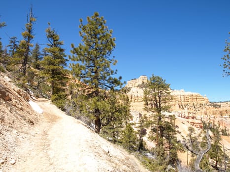 The Bryce Canyon National Park, Utah, United States