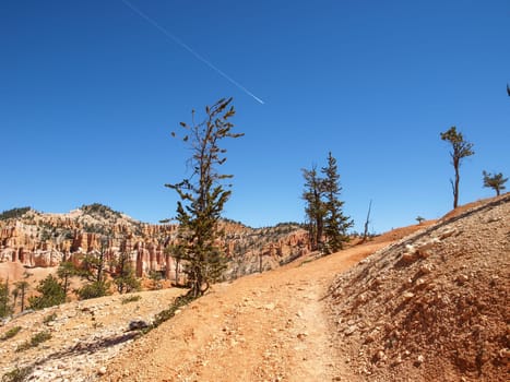 The Bryce Canyon National Park, Utah, United States