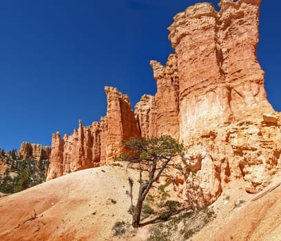 The Bryce Canyon National Park, Utah, United States