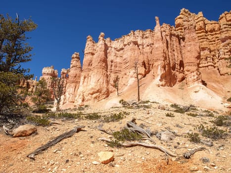 The Bryce Canyon National Park, Utah, United States