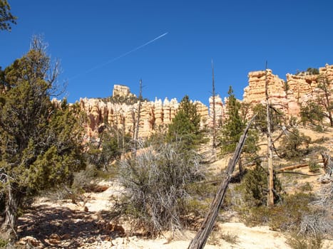 The Bryce Canyon National Park, Utah, United States