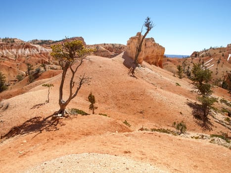 The Bryce Canyon National Park, Utah, United States