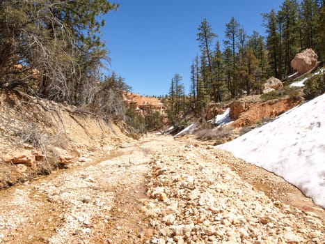 The Bryce Canyon National Park, Utah, United States