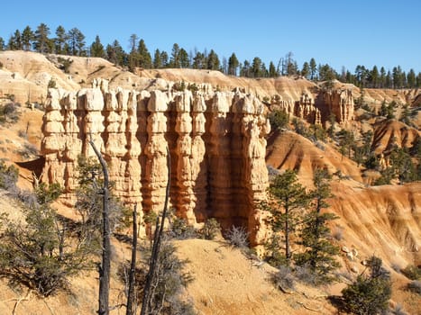 The Bryce Canyon National Park, Utah, United States