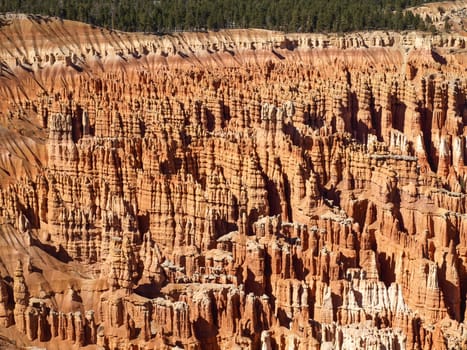 The Bryce Canyon National Park, Utah, United States