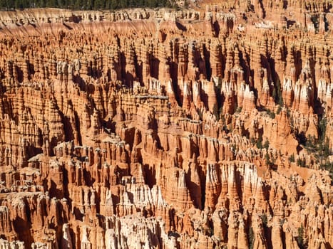 The Bryce Canyon National Park, Utah, United States