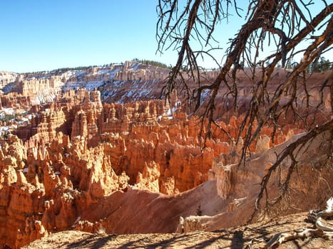 The Bryce Canyon National Park, Utah, United States