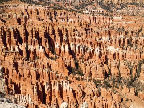 The Bryce Canyon National Park, Utah, United States