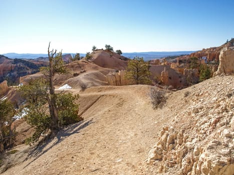 The Bryce Canyon National Park, Utah, United States