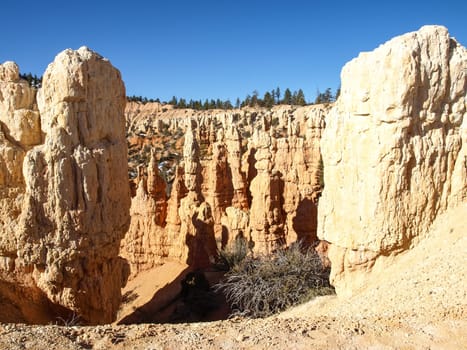 The Bryce Canyon National Park, Utah, United States