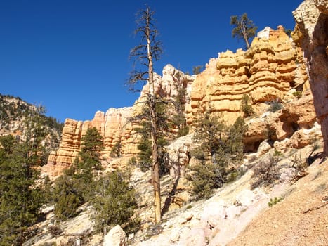 The Bryce Canyon National Park, Utah, United States