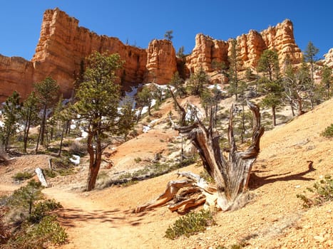 The Bryce Canyon National Park, Utah, United States