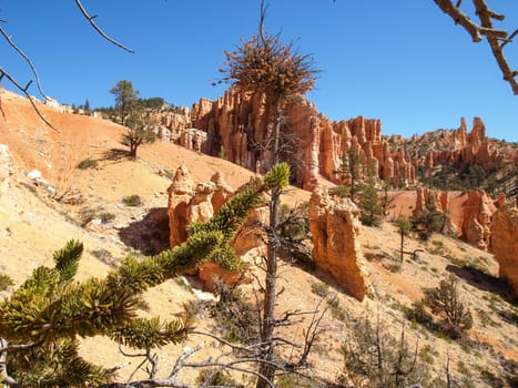 The Bryce Canyon National Park, Utah, United States