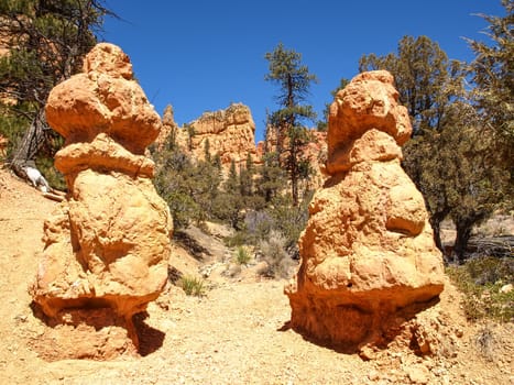 The Bryce Canyon National Park, Utah, United States