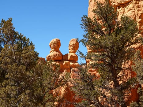 The Bryce Canyon National Park, Utah, United States