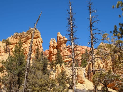 The Bryce Canyon National Park, Utah, United States