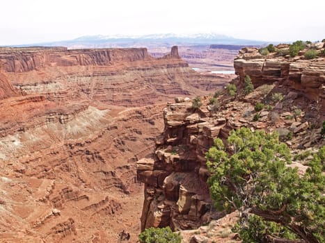 Dead Horse Point, Colorado river, Utah USA