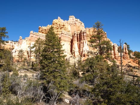 The Bryce Canyon National Park, Utah, United States