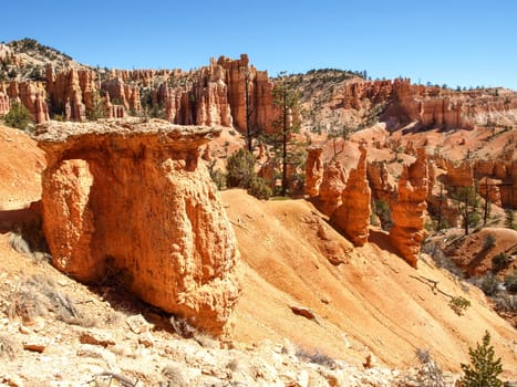 The Bryce Canyon National Park, Utah, United States
