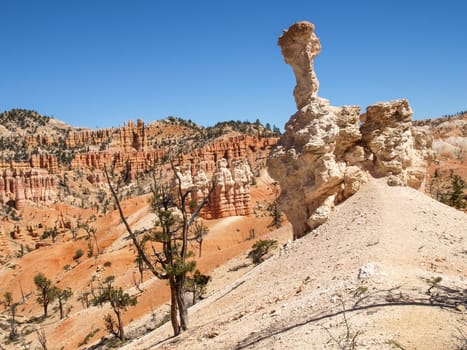 The Bryce Canyon National Park, Utah, United States