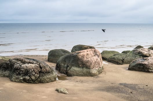 Rocky beach on the Gulf of Finland. Sillamae, Estonia
