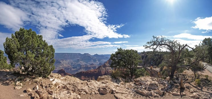 The Grand Canyon. Views of the canyon, the landscape and nature.
