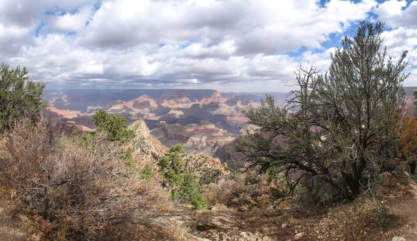 The Grand Canyon. Views of the canyon, the landscape and nature.