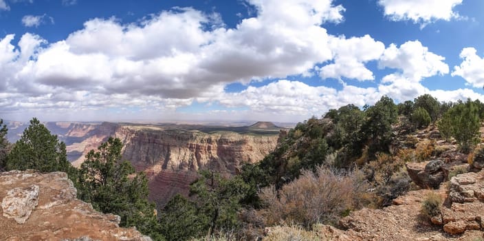 The Grand Canyon. Views of the canyon, the landscape and nature.