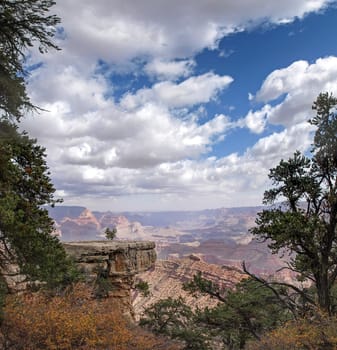 The Grand Canyon. Views of the canyon, the landscape and nature.