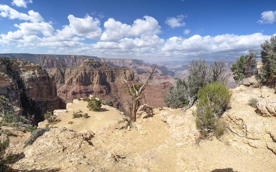 The Grand Canyon. Views of the canyon, the landscape and nature.