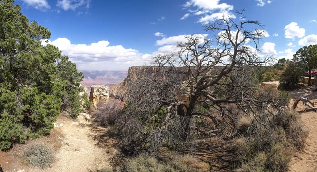 The Grand Canyon. Views of the canyon, the landscape and nature.