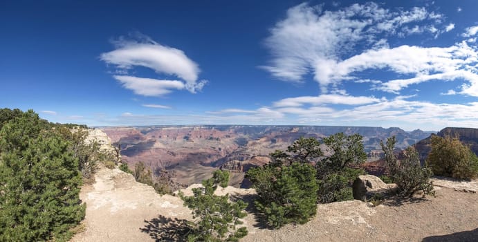 The Grand Canyon. Views of the canyon, the landscape and nature.