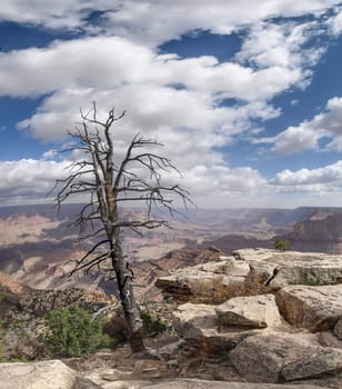 The Grand Canyon. Views of the canyon, the landscape and nature.