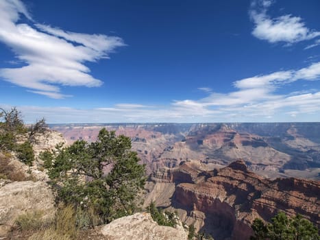 The Grand Canyon. Views of the canyon, the landscape and nature.