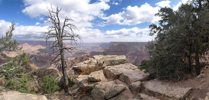The Grand Canyon. Views of the canyon, the landscape and nature.