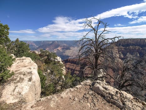 The Grand Canyon. Views of the canyon, the landscape and nature.