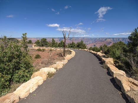 The Grand Canyon. Views of the canyon, the landscape and nature.