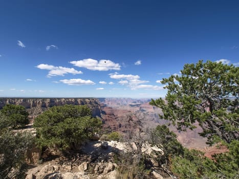 The Grand Canyon. Views of the canyon, the landscape and nature.