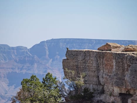 The Grand Canyon. Views of the canyon, the landscape and nature.