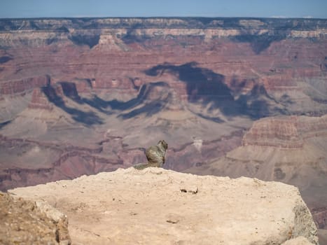 The Grand Canyon. Views of the canyon, the landscape and nature.