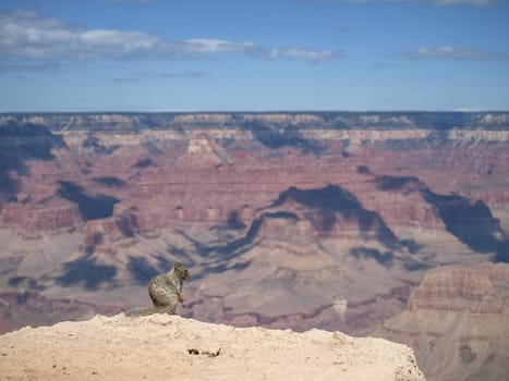 The Grand Canyon. Views of the canyon, the landscape and nature.