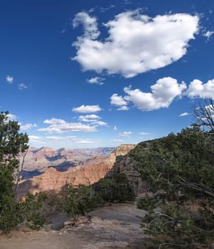 The Grand Canyon. Views of the canyon, the landscape and nature.