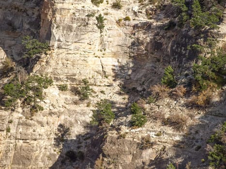 The Grand Canyon. Views of the canyon, the landscape and nature.