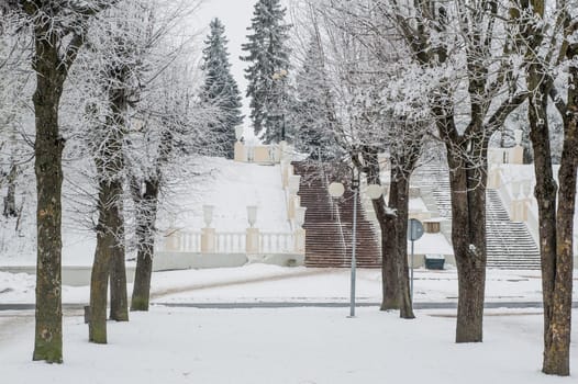 City park in the winter, the trees covered with hoarfrost