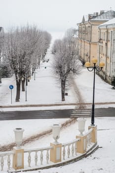 City park in the winter, the trees covered with hoarfrost