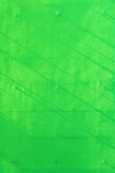 Green wall background with narrow shadow strips
