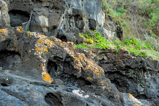 Volcanic coast of Tenerife with solidified lava