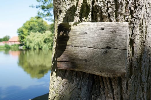 Wooden shield on an old tree