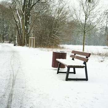 abandoned bench in the city park of Magdeburg in winter